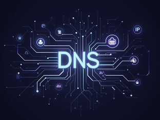 DNS Management