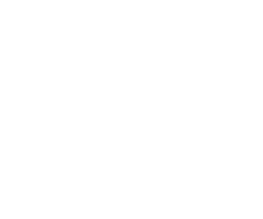 Bloom Beauty