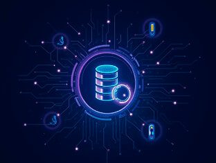 Data Governance & Management