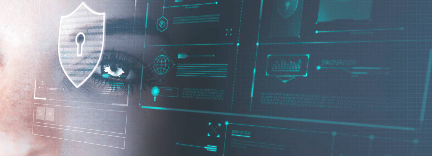 Data Privacy Services in USA